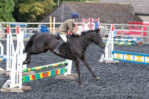 Class 3 -  Fences not above 2'3